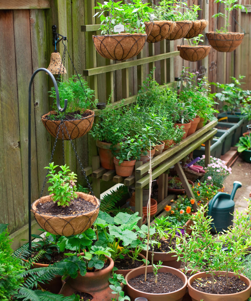 <p> Narrow garden? Look to vertical gardens. You can use old pallets or wood planks to build a shelving unit that will house several tiers of pot-grown herbs and veg. Add a few hooks at the top and hang some hanging baskets for more variety. Making use of vertical space is one of the best options if you're figuring out how to make a small garden look bigger. </p> <p> You can also buy a plant stand from Amazon and use that if you don't feel like DIYing this idea.  </p>