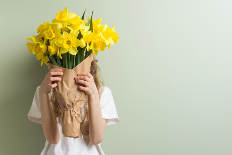 Daffodils<p>VH-studio/Shutterstock</p>