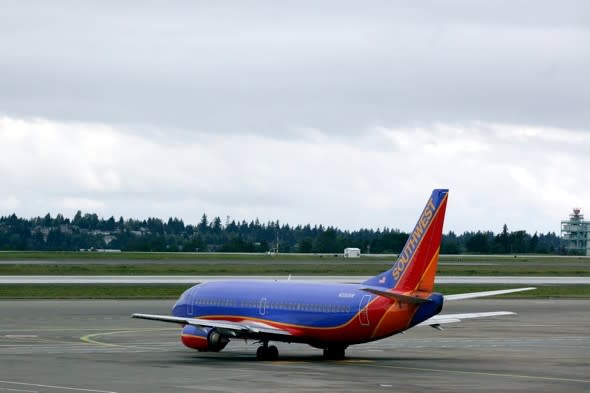 Bird strike leaves hole in wing of Southwest Airlines plane