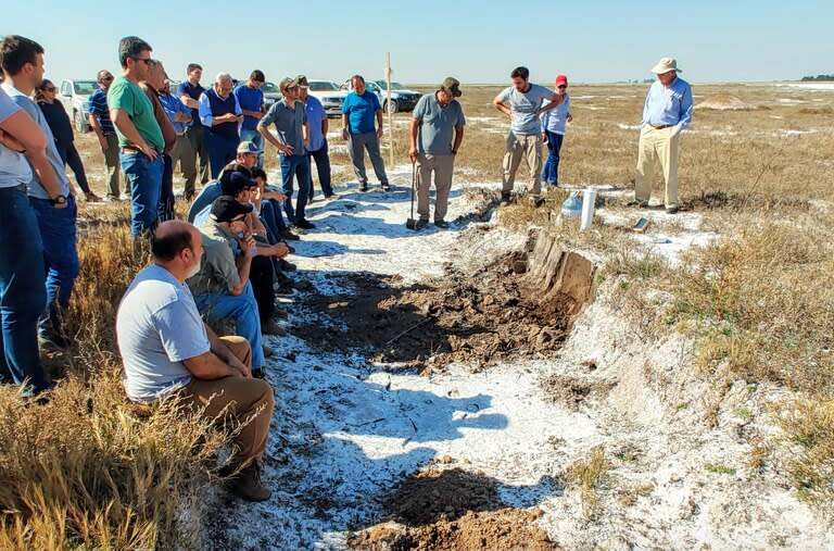 En la recorrida, se vieron bajos salinos en proceso de recuperación, así como suelos que partieron de situaciones de degradación y presencia de sales en superficie que, luego de años de un adecuado manejo, se fueron transformando en suelos de mayor aptitud agrícola