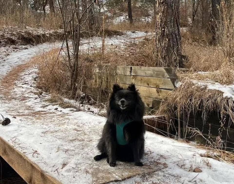 Guiselle Torres of Colorado Springs, which ranked number one on the list, said there are so many outdoor trails there to explore with her dog, Risa. Courtesy of Guiselle Torres