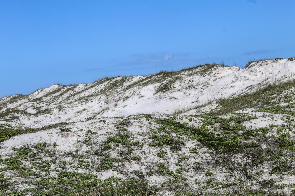 St. Augustine's Anastasia State Park