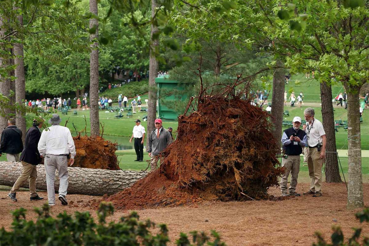 Large tree falls near spectators at 2023 Masters tournament: “It was so scary”