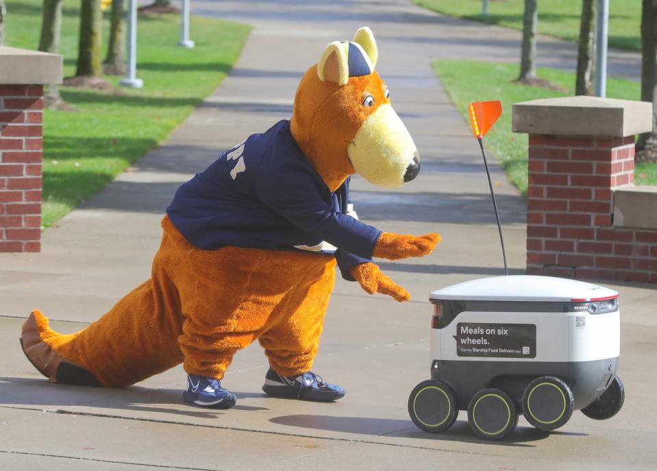 A Starship Food Delivery robot has a little fun with University of Akron mascot Zippy during a media demonstration Monday near the Student Union.