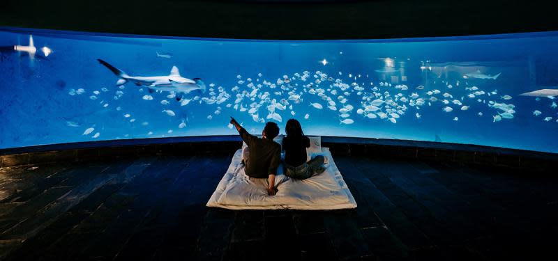 夜宿海生館「踏水巡田」超療癒