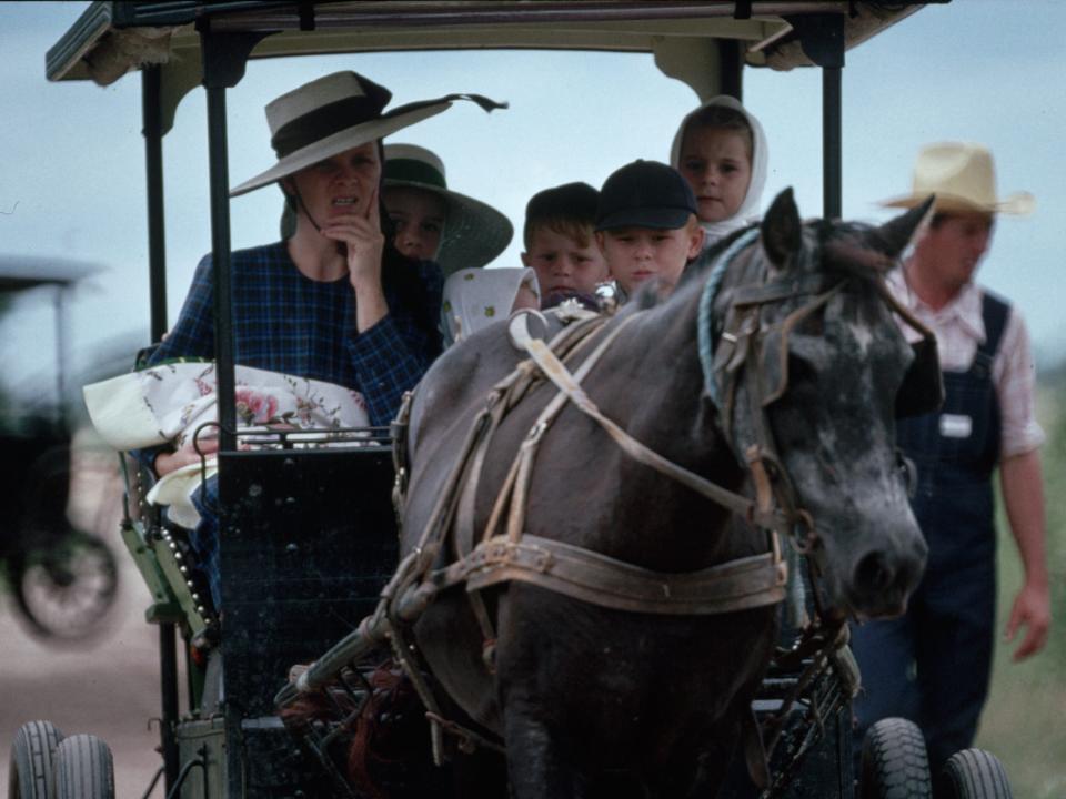 Mennonite Family in Horse-drawn Cart in Bolivia