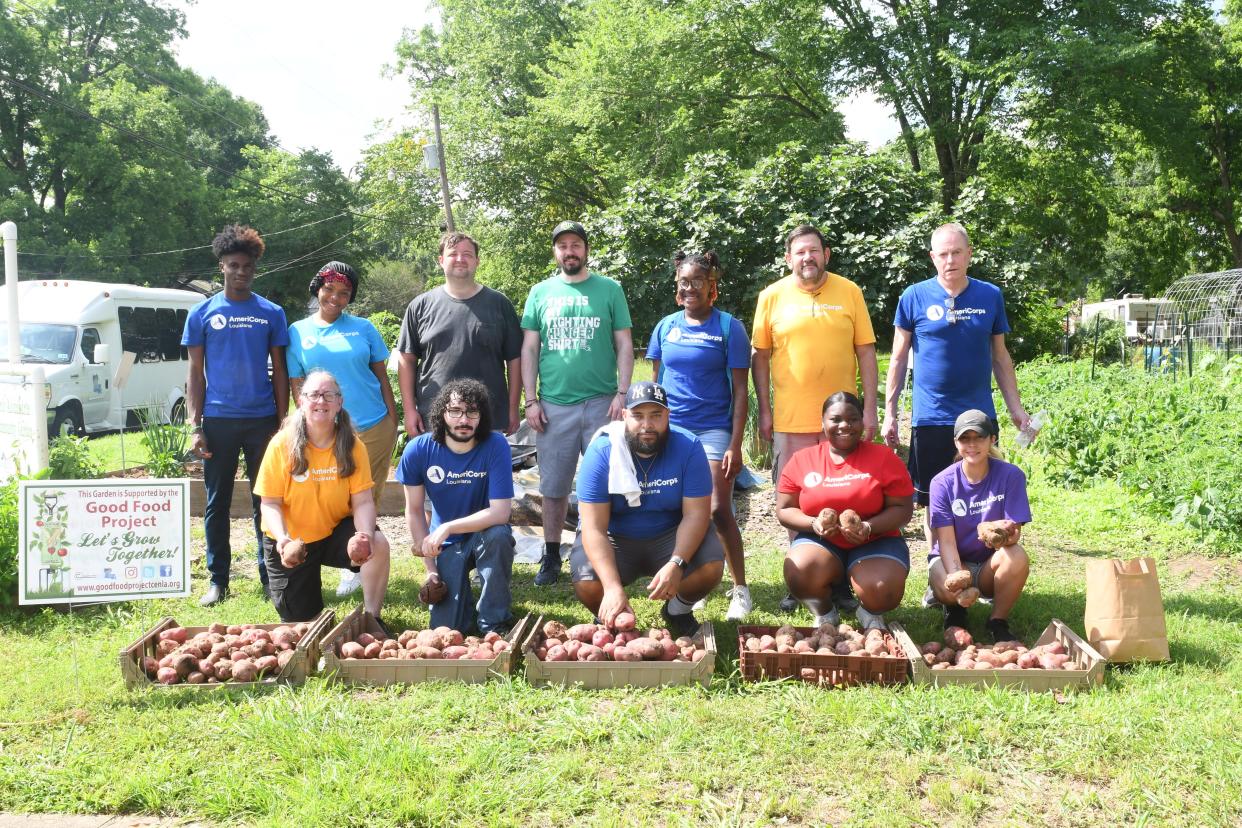 Volunteers with the AmeriCorps program at the Food Bank of Central Louisiana help with distributions, community outreach, the mobile food pantry, packing food boxes. Last week they helped harvest potatoes at the annual potato harvest at the community garden on Ashley Avenue. The garden is sponsored by the Good Food Project, a program of the Food Bank.