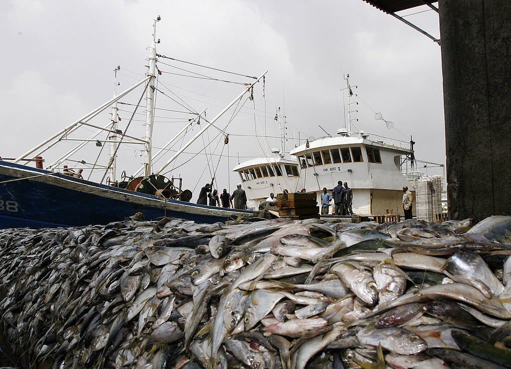 <p>‘An estimated area of 1.9 million square miles is bottom trawled each year – that’s 230 times the size of Wales’</p> (AFP via Getty Images)