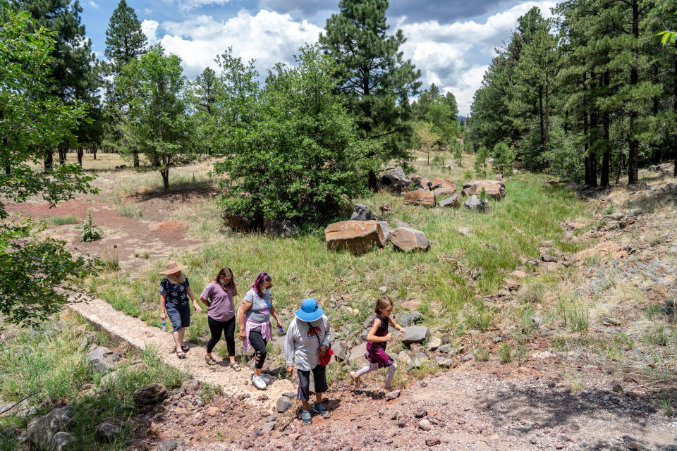 Members of the Arizona Cancer Support Community walk along a trail during a forest bathing session in Flagstaff on July 21, 2022. Shinrin-yoku, also known as forest bathing, is a Japanese health and wellness practice meant for participants to immerse themselves with the forest atmosphere.