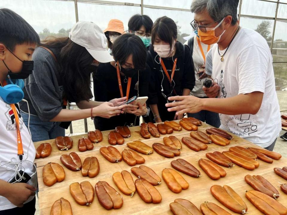 小塹有約南寮香山線，帶領旅客走訪「竹魚水產」一覽季節限定的日曬烏魚子。(竹市府提供)