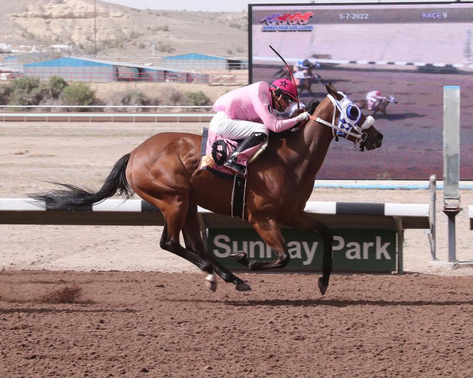 No Pasa Nada and jockey Alejandro Medellin cross the wire in front of his rivals during the $100,000 Jack Cole Handicap, Saturday, May 7, 2022 at SunRay Park and Casino.