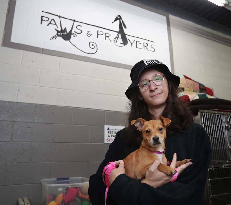 Thomas Habas, a foster for Paws & Prayers holds Allie, a six-month-old female Chiweenie that was available for adoption through Paws & Prayers in Cuyahoga Falls in 2021.