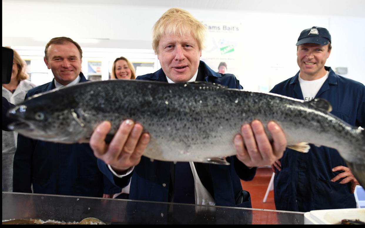 Mr Johnson, pictured on the campaign trail during the EU referendum in 2016  - Andrew Parsons / i-Images