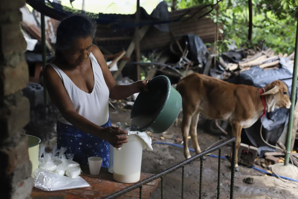 Ines Flamenco, a recipient of a new home in the middle-class residential community Ciudad Marsella, prepares baggies filled with goat, and cow milk, on her farm in Los Angelitos, El Salvador, Wednesday, Aug. 4, 2021. In Ciudad Marsella it is prohibited to keep animals, and that means no goats or cows, and no chickens and no eggs to eat or sell. As of July, at least 28 families have given back the houses and returned to Los Angelitos. (AP Photo/Salvador Melendez)