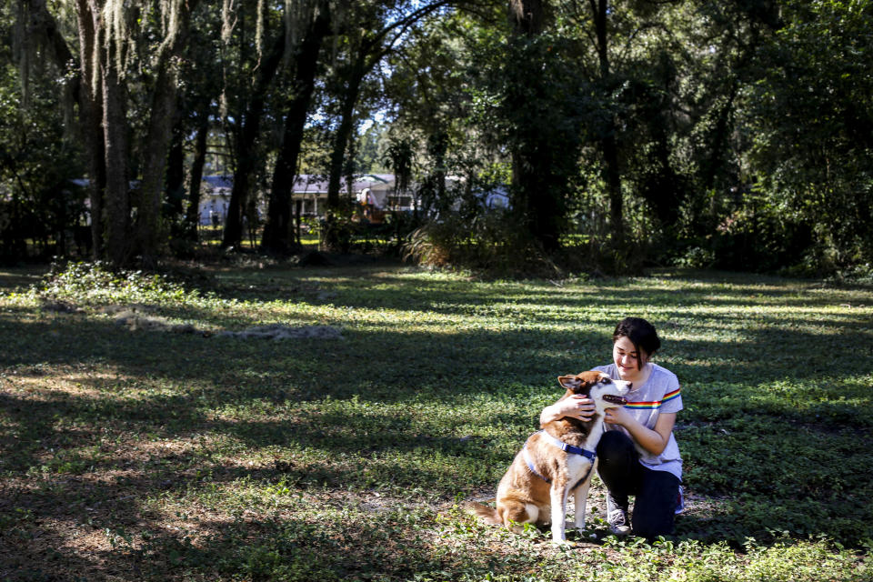 In this Wednesday, Nov. 21, 2018 photo, Rose Verrill, 13, rubs the head of a brown and white Husky named Sinatra at her home in Seffner, Fla. Eighteen months after the dog disappeared from his home in New York, he ended up wandering in a Florida neighborhood where Verrill took him in. Turns out, Sinatra once belonged to Zion Willis, 16, who died in a gun accident in Brooklyn, N.Y., in 2015. He'll be reunited with her family in Baltimore on Nov. 25. (Bronte Wittpenn/Tampa Bay Times via AP)