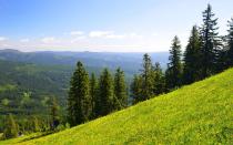 Der Bayerische Wald wurde 1970 gegründet und ist somit der älteste Nationalpark Deutschlands. Zusammen mit dem tschechischen Nationalpark Böhmerwald bildet er die größte zusammenhängende Waldfläche Mitteleuropas. Mit etwas Glück können Sie hier jede Menge wilder Tiere beobachten: Wildkatzen, Auerhühner, Wanderfalken, Fischotter, Siebenschläfer, Schwarzstörche oder Wespenbussarde - halten Sie unbedingt gut Ausschau! (Bild: iStock / vencavolrab)