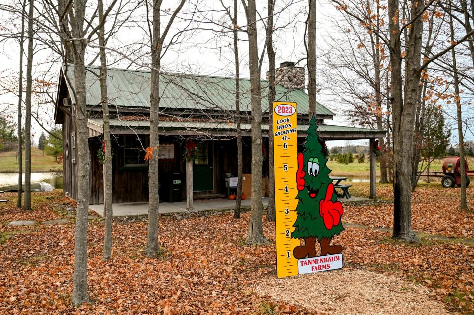 The cabin at Tannenbaum Farms on Monday, Nov. 20, 2023, in Mason.