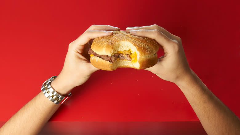 Hands holding a burger