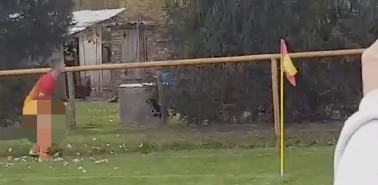 The player then threw the chicken back over the fence