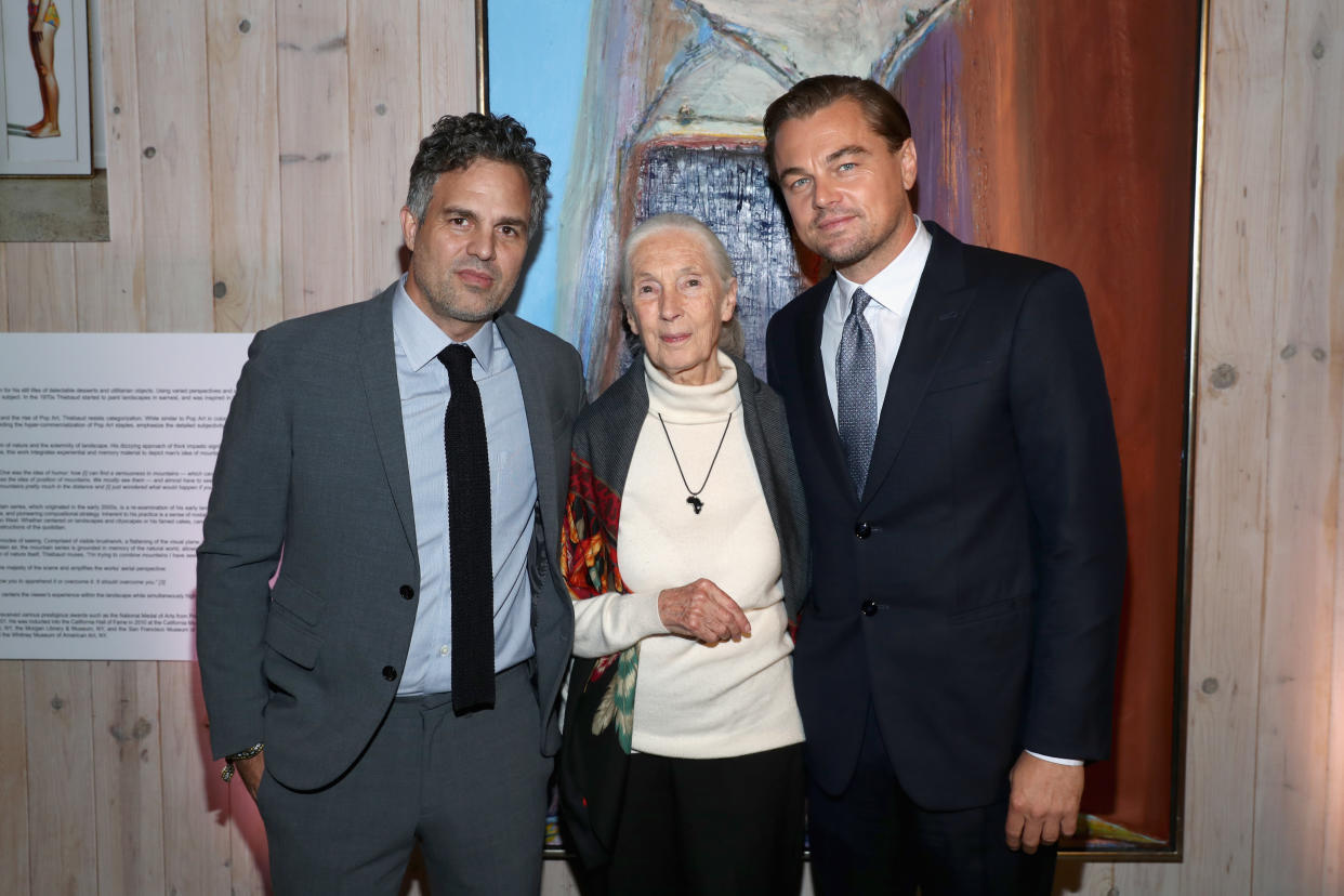 Jane Goodall (centre) stands between Mark Ruffalo and Leonardo DiCaprio. Source: Getty