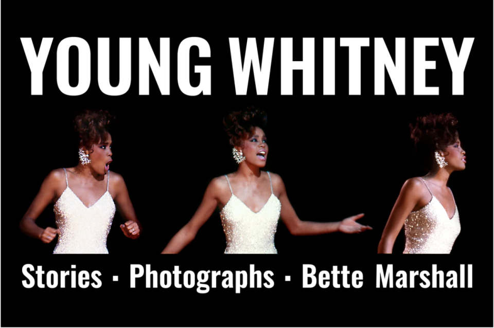 'Young Whitney' book cover