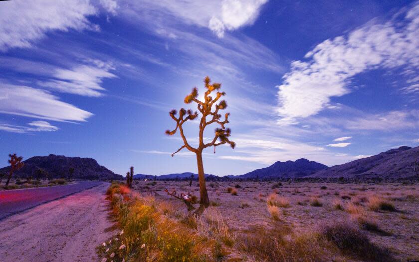 Going to Joshua Tree to watch the Perseids meteor shower? Get ready to