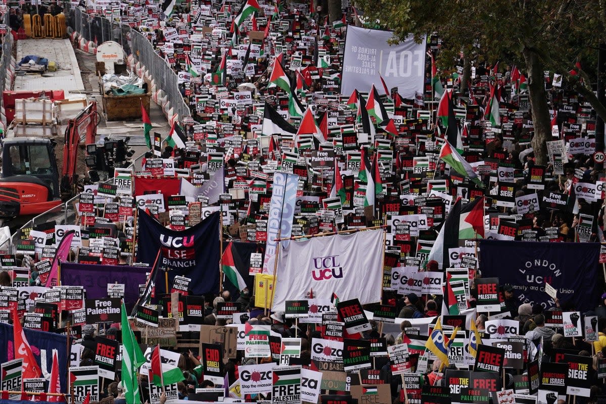 Demonstrators taking part in a pro-Palestinian march in London on Saturday, October 28. Met chief Sir Mark Rowley says police will use new tactics to single out anyone carrying out hate crimes at future demonstrations (PA)