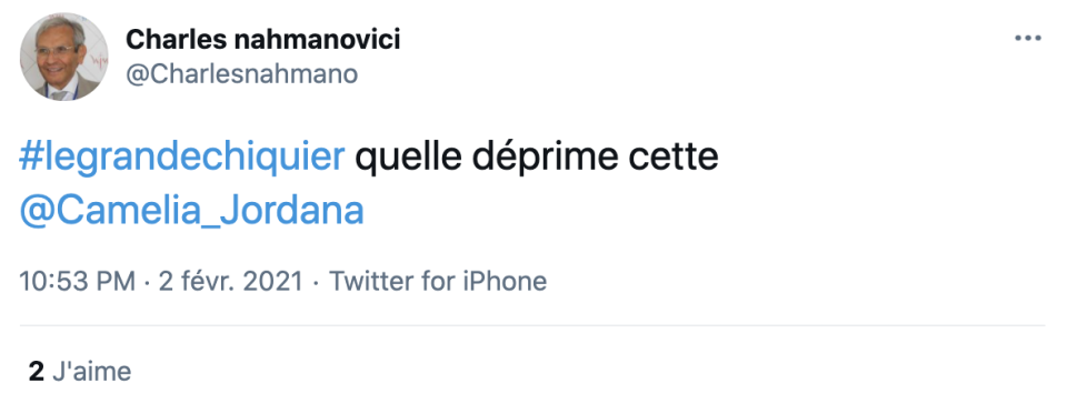 Camélia Jordana a été clashée par les internautes après sa reprise de Calogero dans Le Grand Echiquier. 