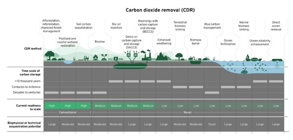 碳移除的各種可能方法。圖片來源：Future Earth