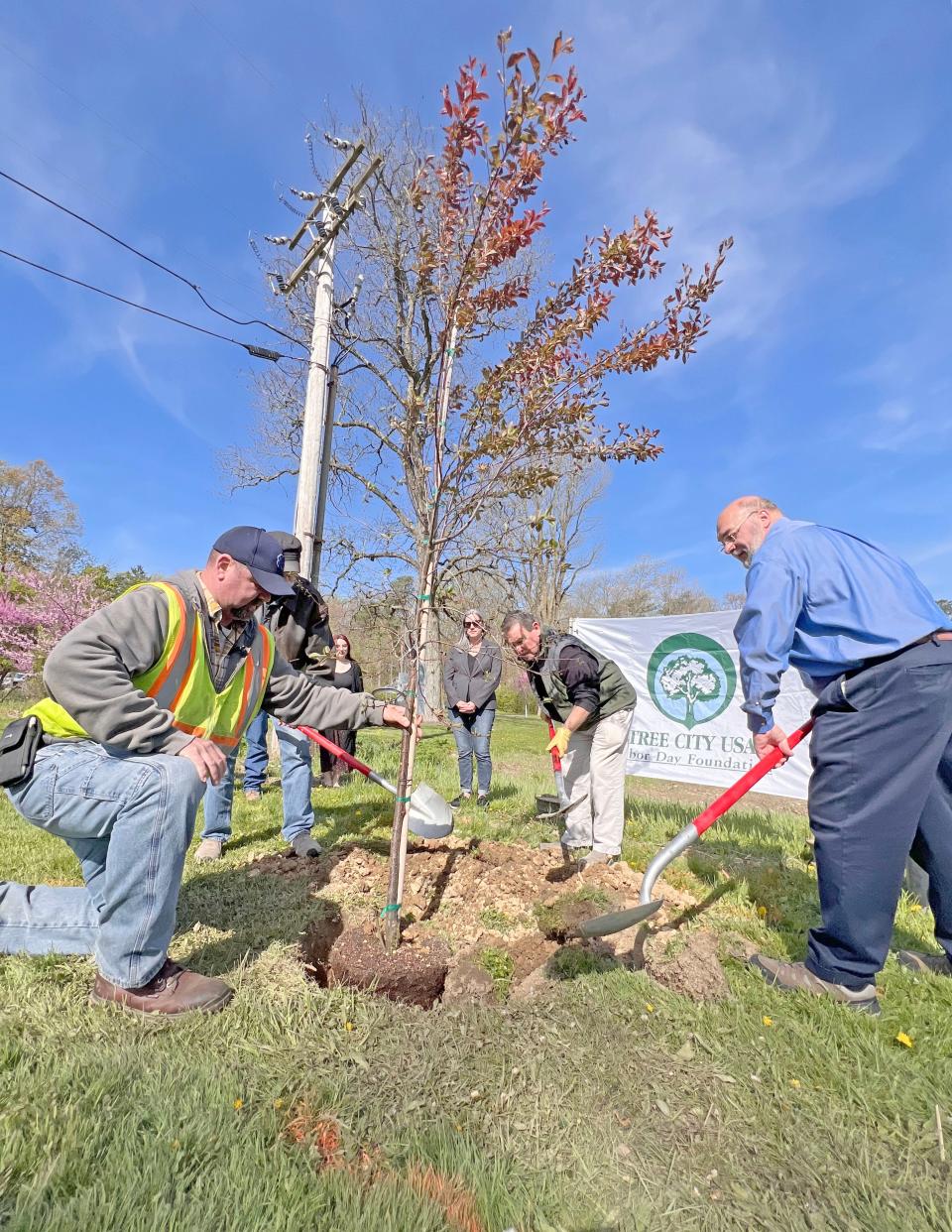 The City of Mansfield Shade Tree Commission celebrated Arbor Day on Friday by planting Newport purple leaf plum trees outside the Mansfield Art Center.