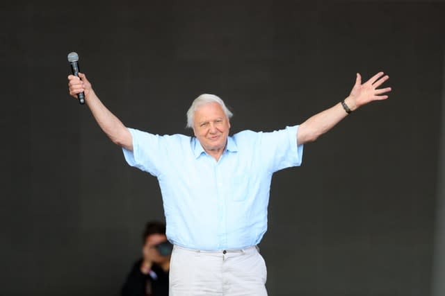 Sir David Attenborough announced the series on the Pyramid Stage of Glastonbury Festival (Aaron Chown/PA)