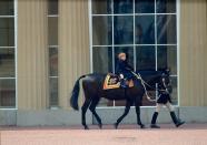 <p>Prince Harry riding a horse after the Trooping of the Colour ceremony.</p>