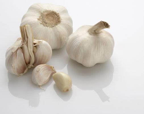 Garlic