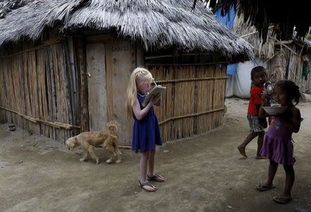 Delyane Avila, 6, who is part of the albino or "Children of the Moon" group in the Guna Yala indigenous community, draws on her notebook next to neighbours on Ailigandi Island in the Guna Yala region, Panama May 4, 2015. REUTERS/Carlos Jasso