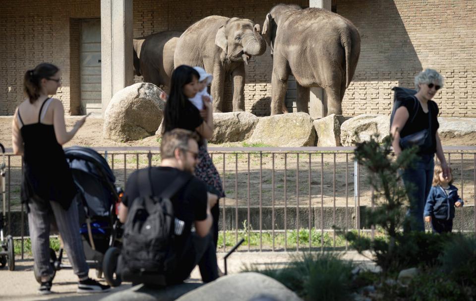 Visitors watch the elephants at Berlin Zoo in Berlin, Germany, Tuesday, April 28, 2020. The Berlin zoos have reopened under strict conditions after several weeks of closing because of the coronavirus pandemic. (Kay Nietfeld/dpa via AP)