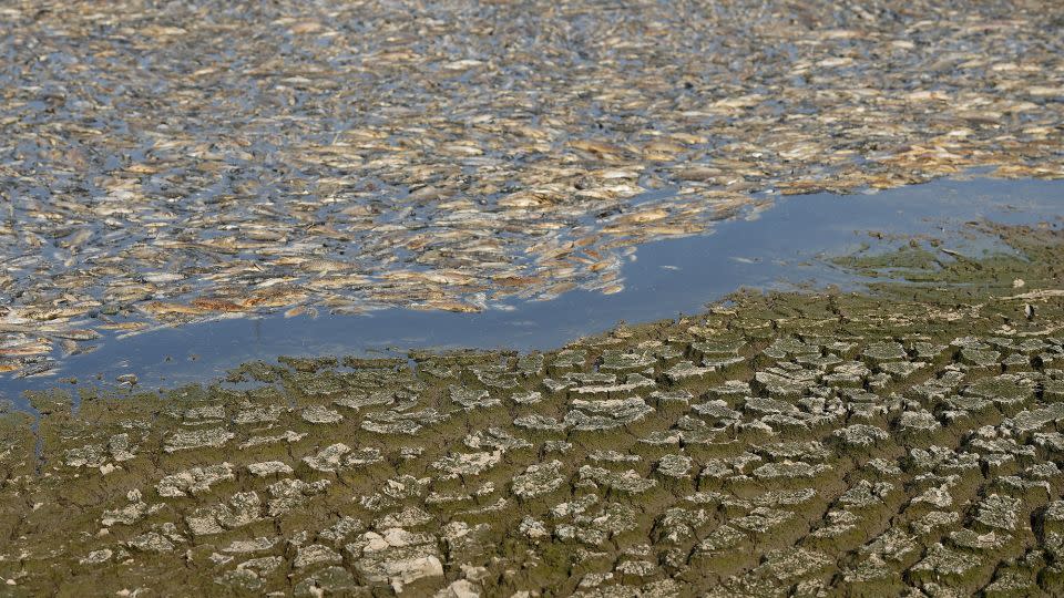 The dried-up Song May reservoir bed. - AFP/Getty Images