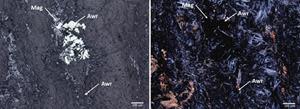 Reflected light (left) and transmitted light (XPL; right) photomicrographs of a large crystal of awaruite (lightest grey), intergrown with magnetite (darker grey), in a matrix of serpentine and relict pyroxene +/- olivine. MTU-22-14 (29.8 m).