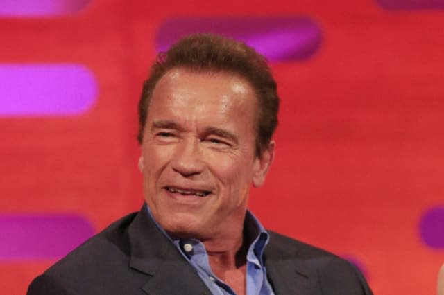 Arnold Schwarzenegger drop-kicked in the back during event in South Africa