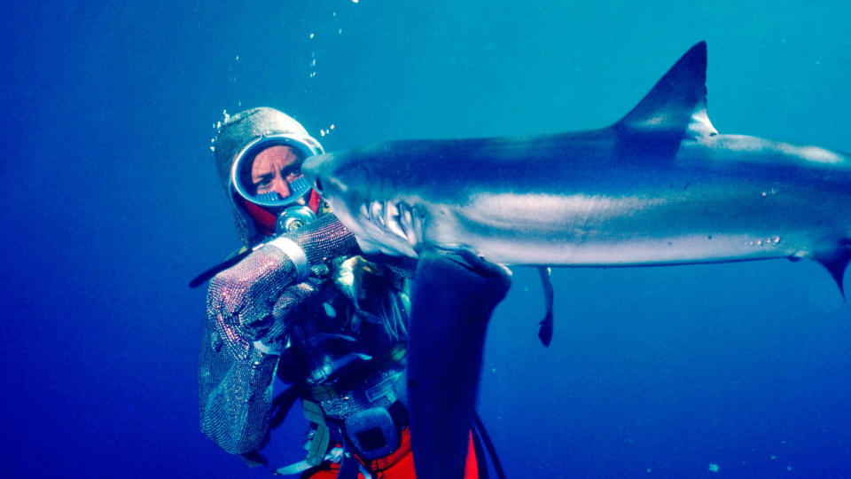 'Playing With Sharks'. (Nat Geo/Disney)