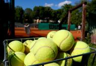 Reopening of tennis courts in Vienna