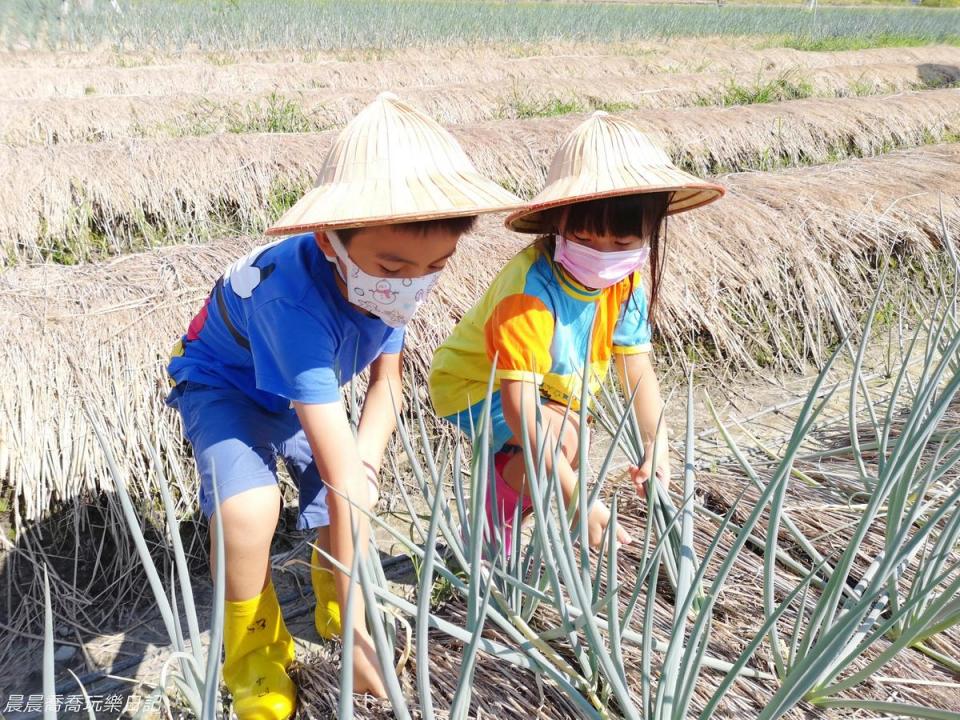 農夫青蔥體驗農場