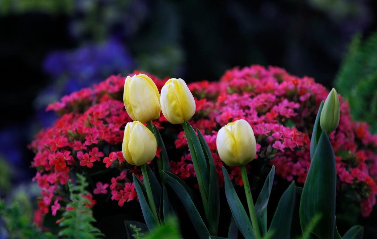 You can think spring (and gardens) at the 97th annual Realtors Home & Garden Show March 24-April 2 at Wisconsin State Fair Park.