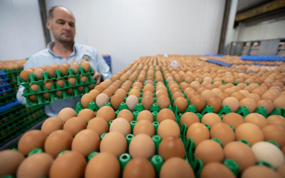 Free range egg farmer Alaistaire Brice of Havensfield Happy Hens has had to quarantine his bird - David Rose for the Telegraph