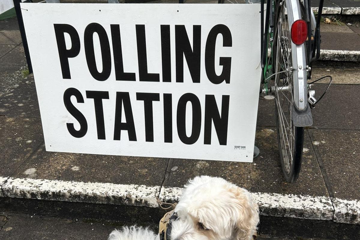 Headington hound Harry joined his human Clare Cook at the polling station. <i>(Image: Clare Cook)</i>