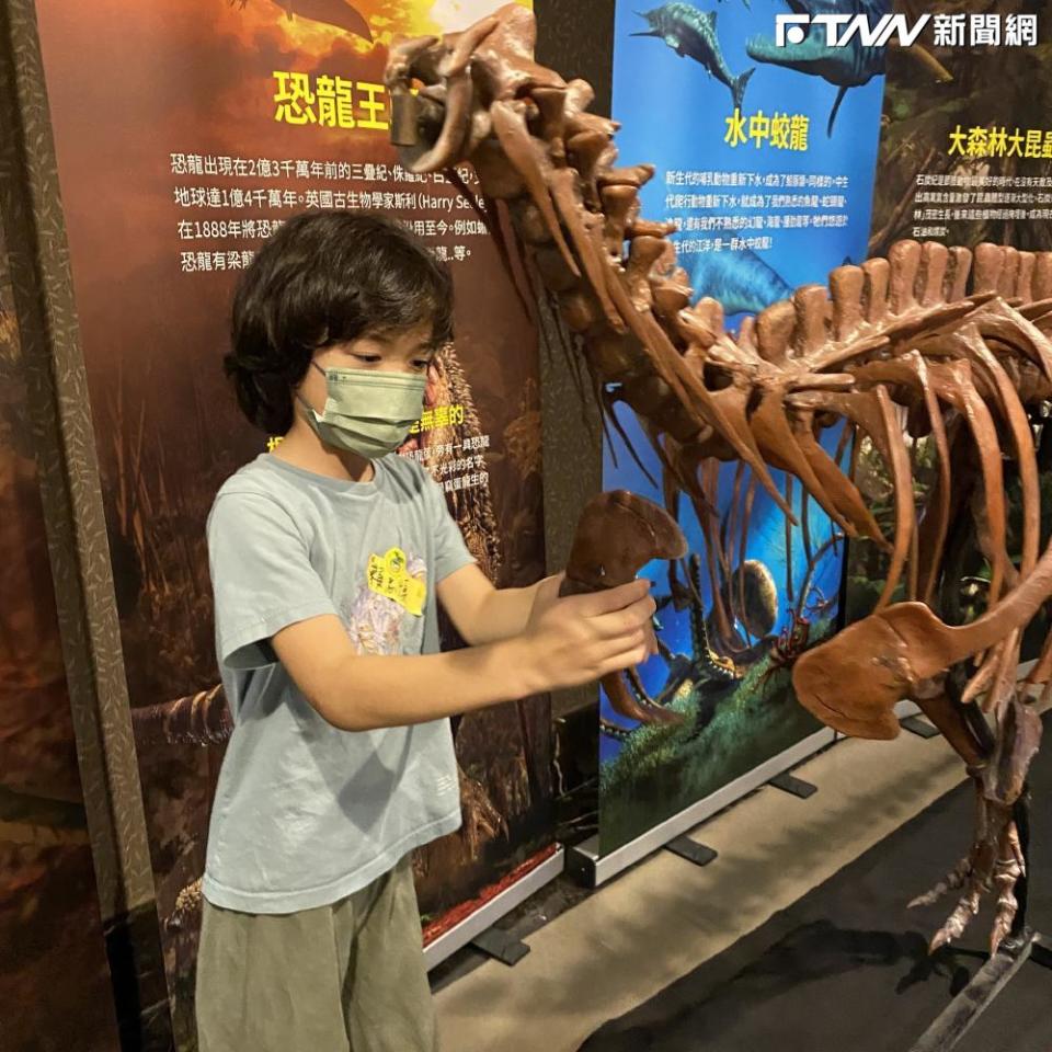 恐龍組裝等多項的豐富專業的體驗，讓博物館的標本重現生命。(圖／大板根提供)