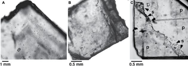 Image microscopique de cristaux d'Halite recueillant divers micro-organismes. (Photo: Sara I. Schreder-Gomes, Kathleen C. Benison and Jeremiah A. Bernau/Geology)