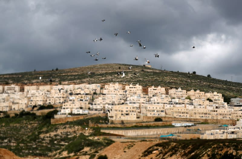Birds fly as the Israeli settlement of Ramat Givat Zeev is seen, in the Israeli-occupied West Bank