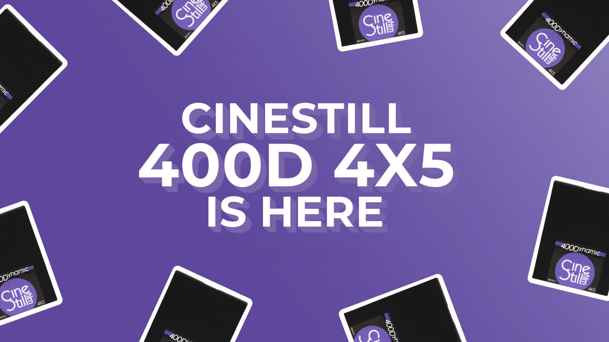  CineStill 400D 4x5. 