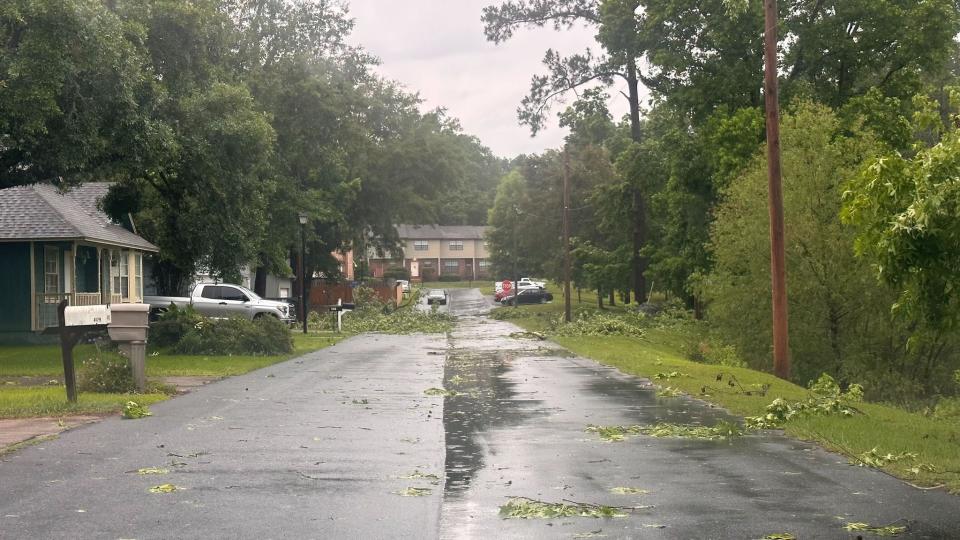 Fallen trees and limbs reported in the Timberlake neighborhood off Apalachee Parkway.