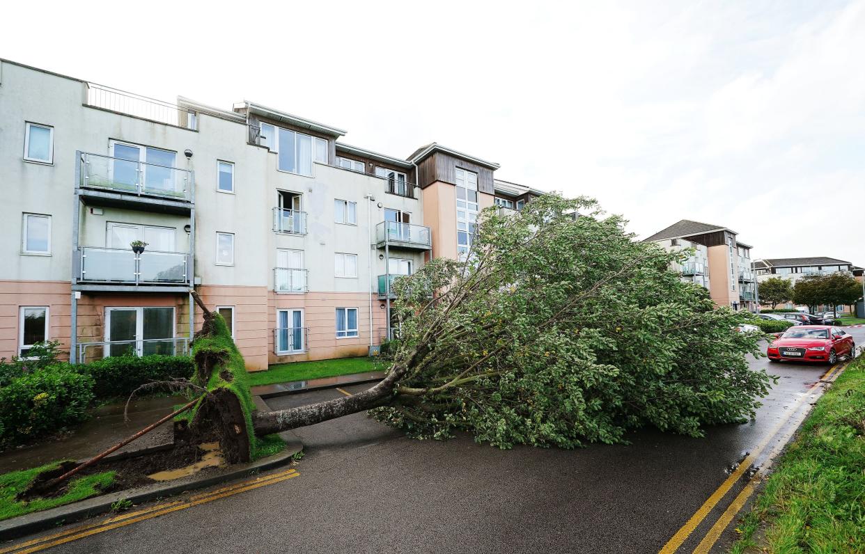 A fallen tree on Thornleigh Road in Swords, Dublin. (PA)